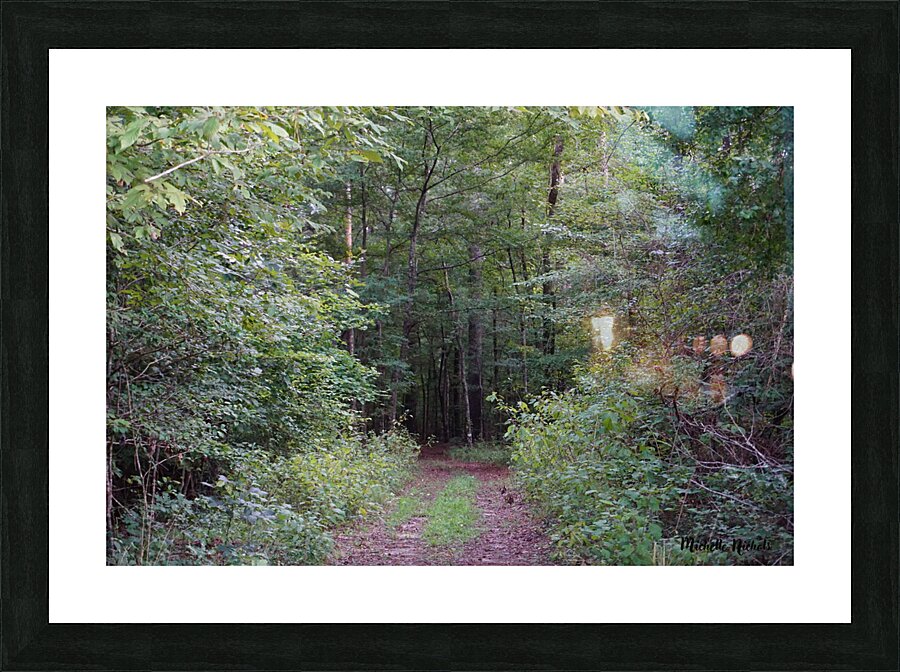 Forest Path Picture Frame print