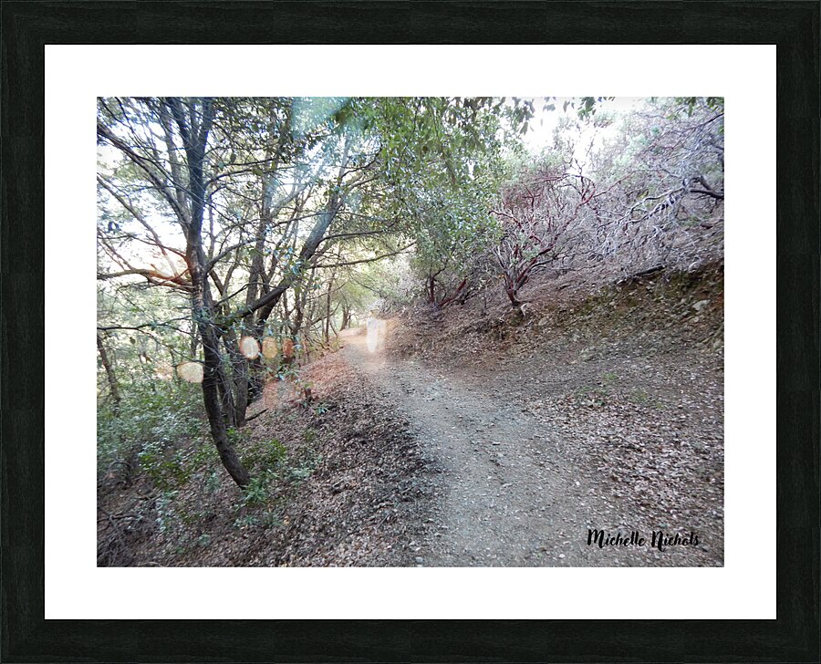 Mountain Trail Picture Frame print