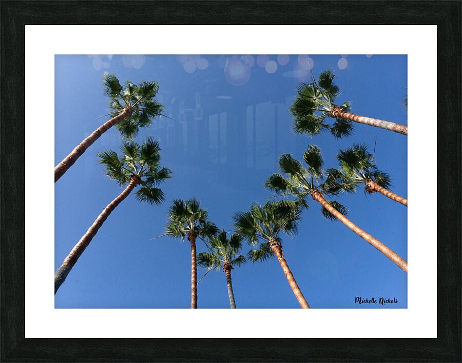 Palm Trees Picture Frame print