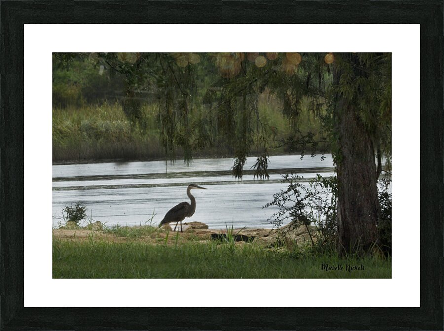 Bayou LaCroix Picture Frame print