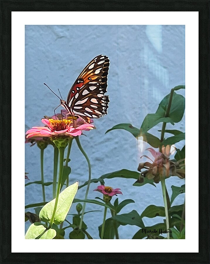 Southern Royalty In Bloom copy Picture Frame print