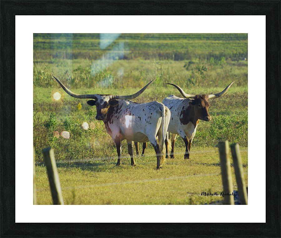 Double Trouble Picture Frame print