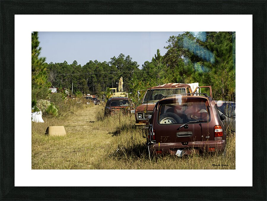 A Walk In The Park Picture Frame print