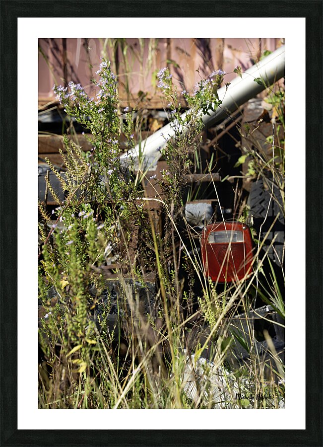 Flowers in the Junkyard Picture Frame print