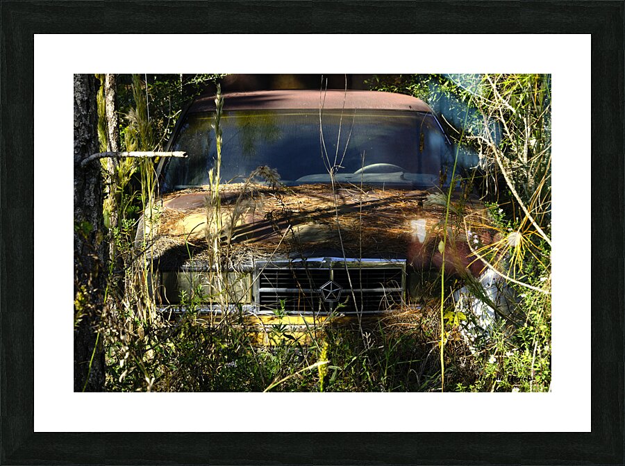 Forgotten Picture Frame print