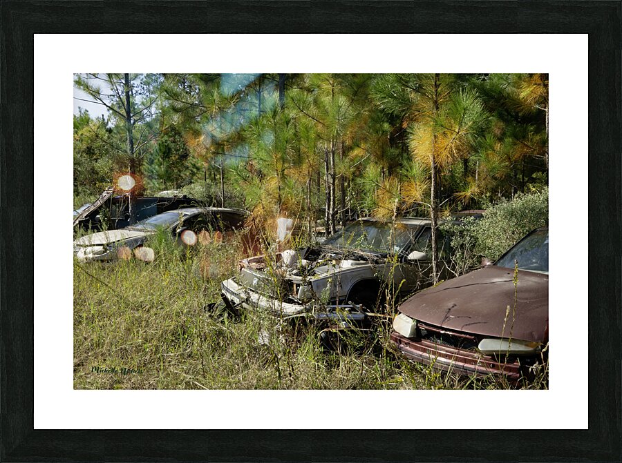 All Lined Up Picture Frame print