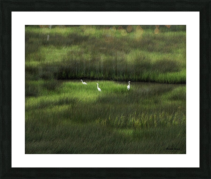 Three Is A Crowd Picture Frame print