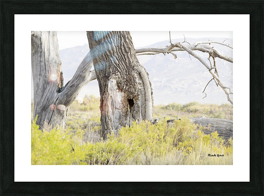 Tree Hole Picture Frame print