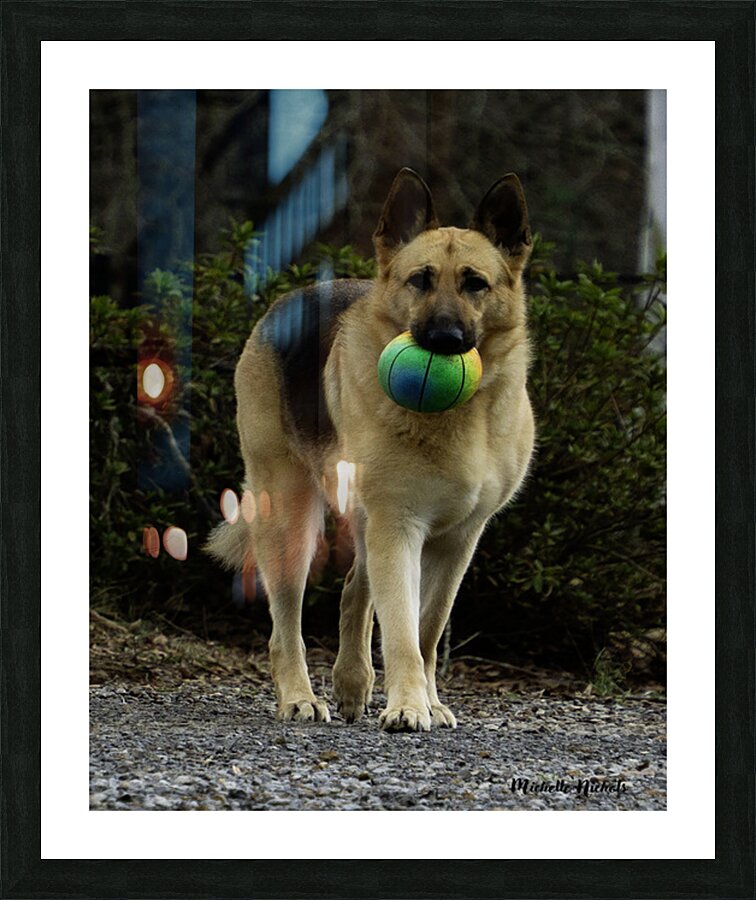 Lara Foster Picture Frame print