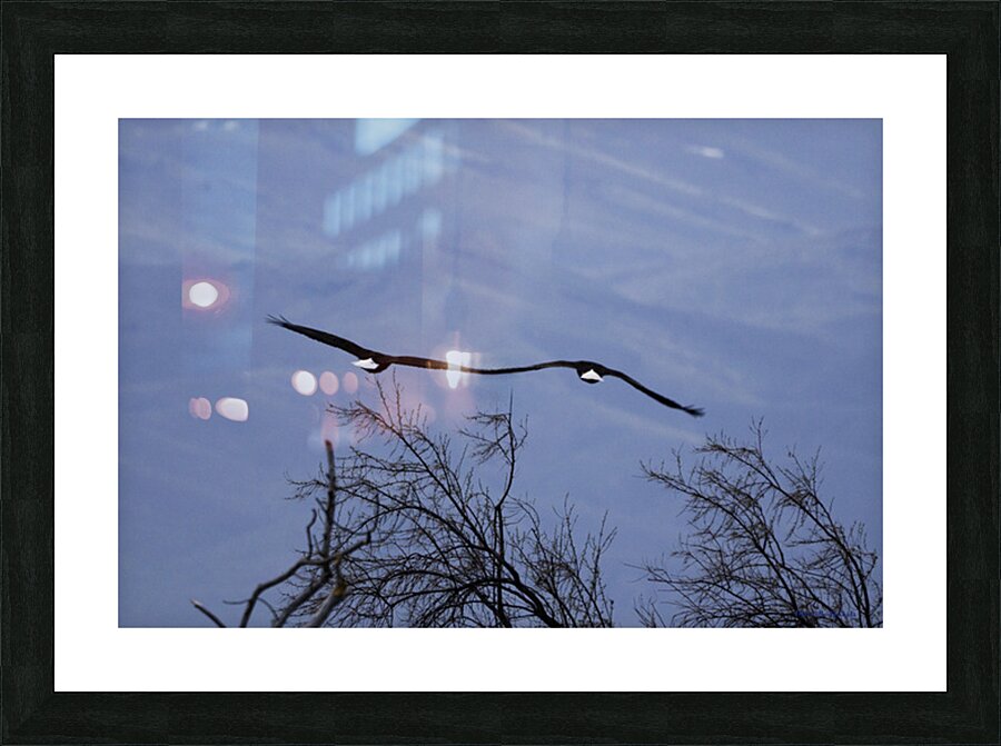 Lovers In Flight Picture Frame print