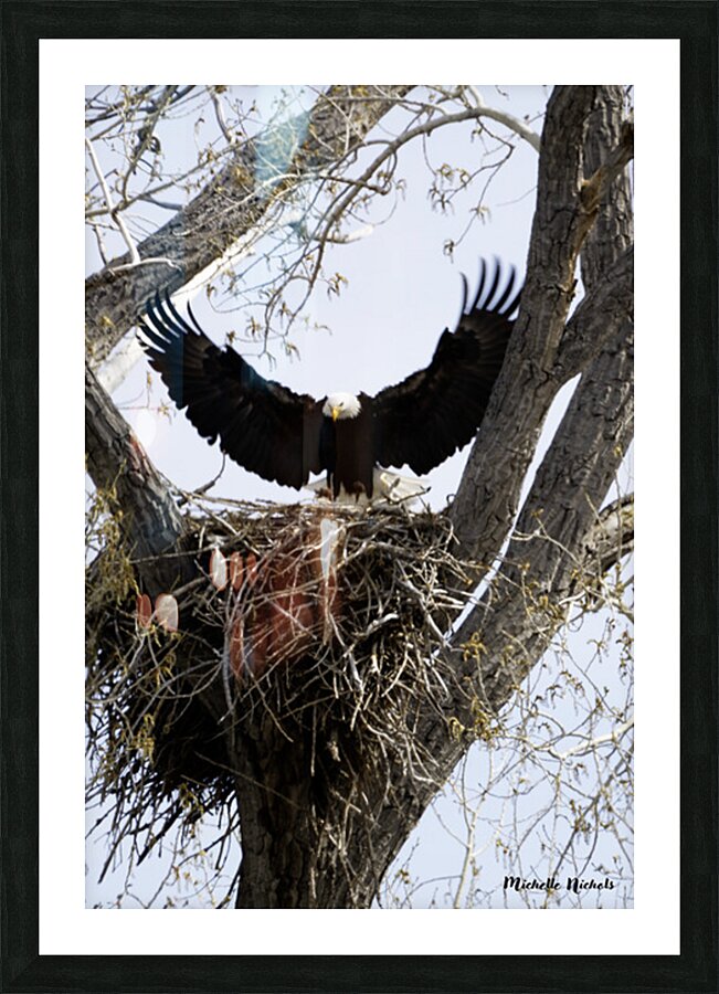 Coming Home Picture Frame print