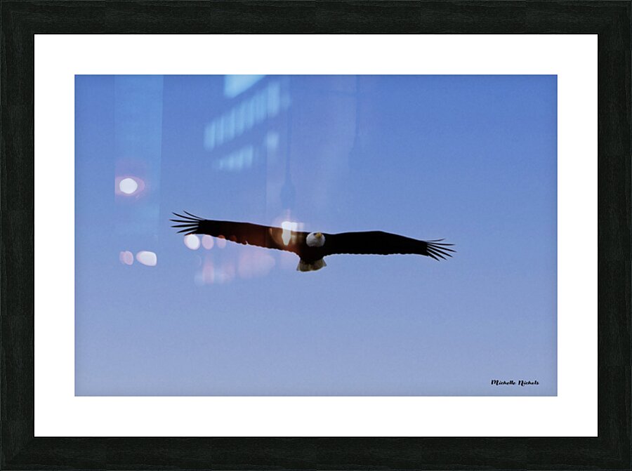 Soaring Picture Frame print