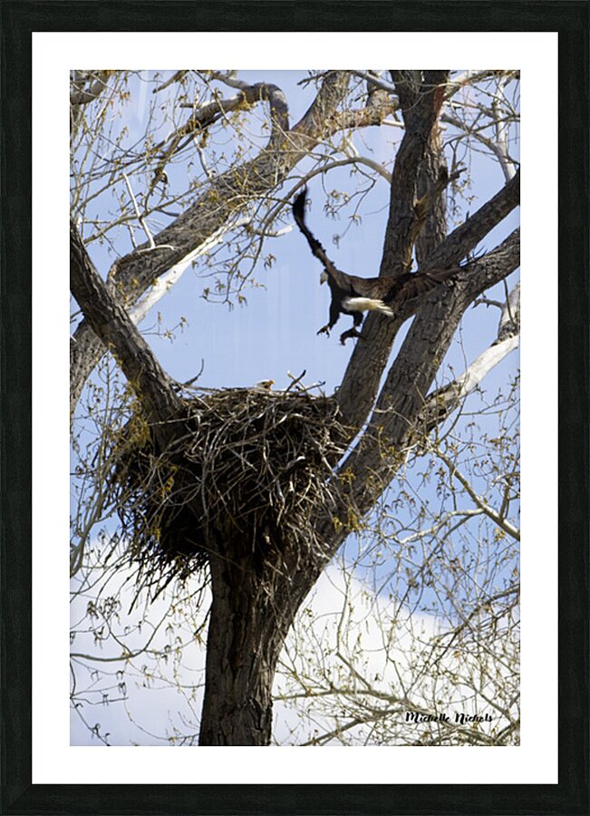 Bringing the Groceries Picture Frame print