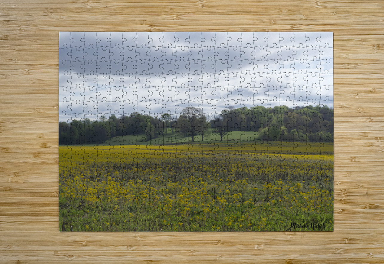 Keith Spring Mtn Valley Michelle Nichols Puzzle printing