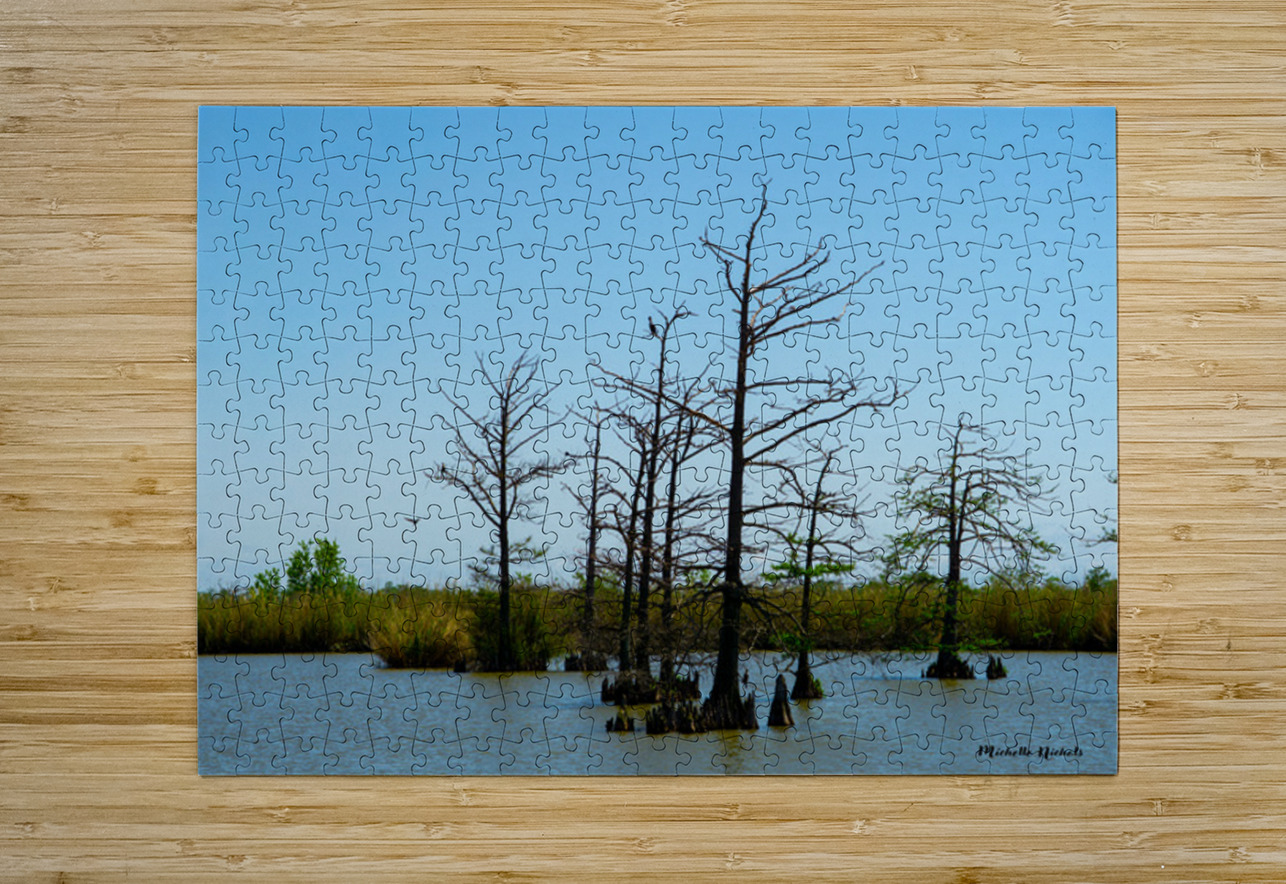 Venice LA Michelle Nichols Puzzle printing