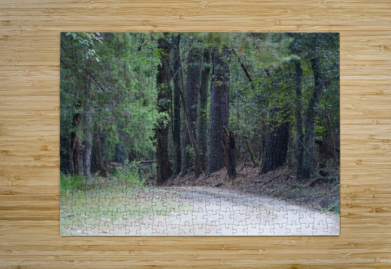 A Country Lane Michelle Nichols Puzzle printing