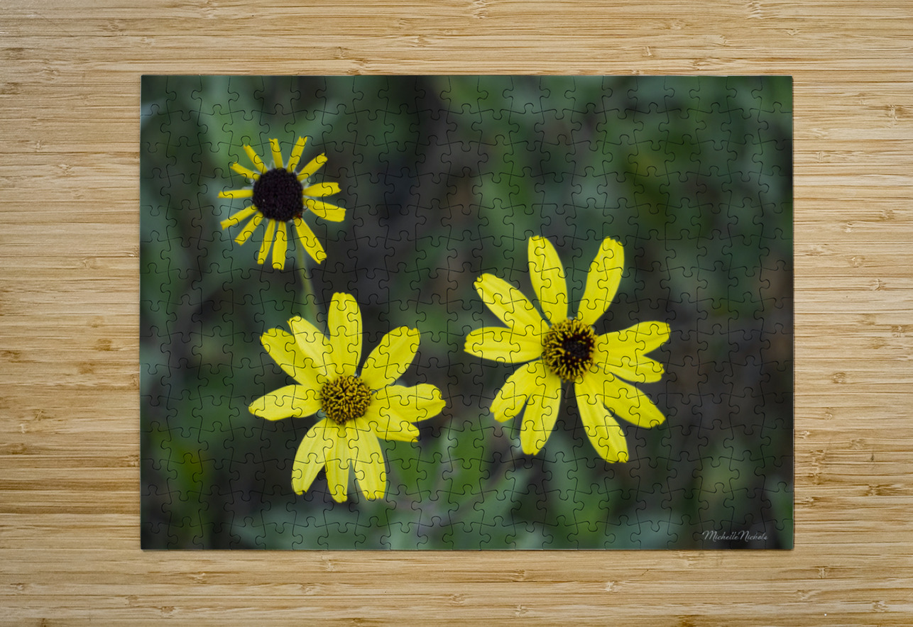 3 Yellow Flowers Michelle Nichols Puzzle printing