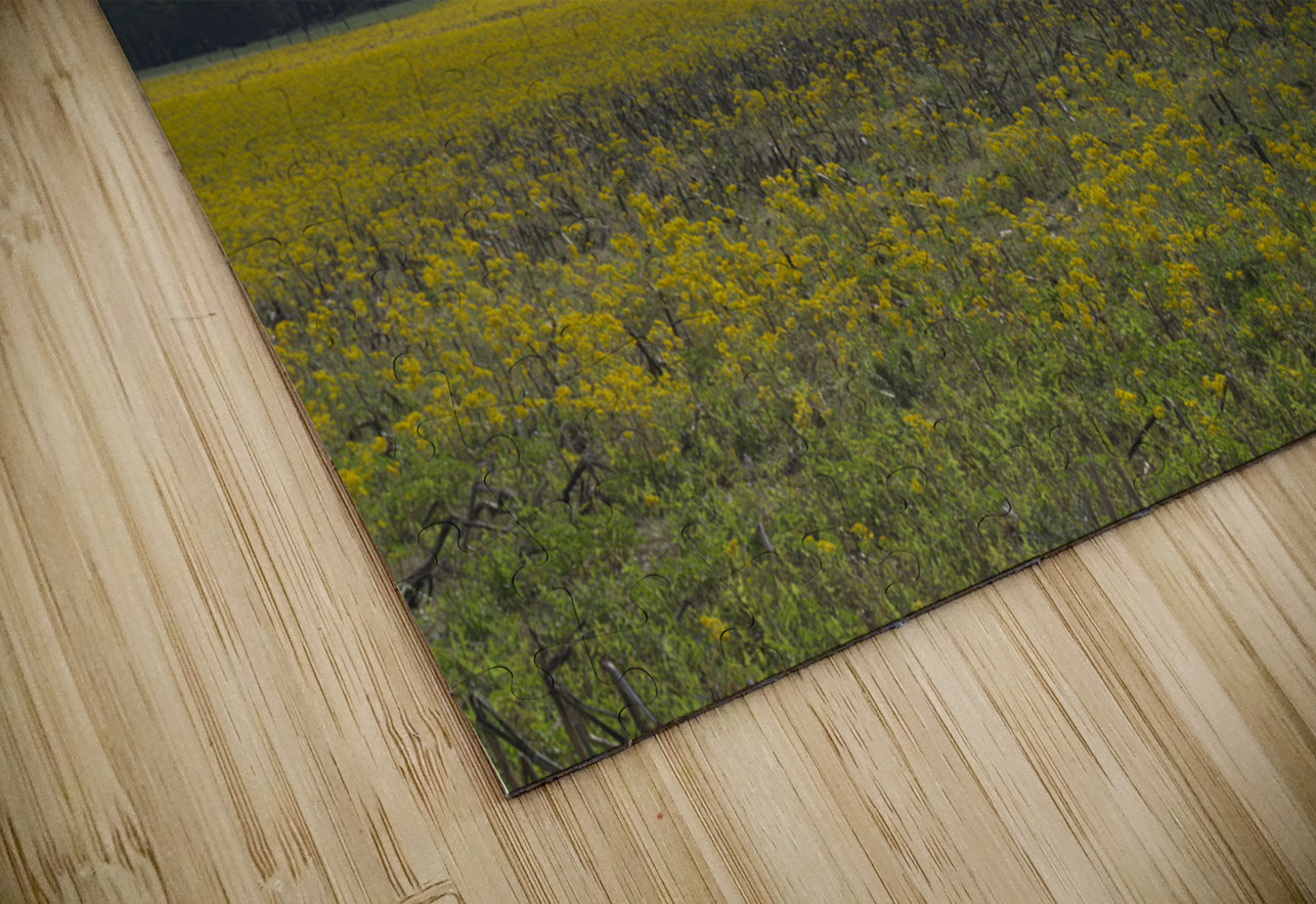 Keith Spring Mtn Valley Michelle Nichols Puzzle