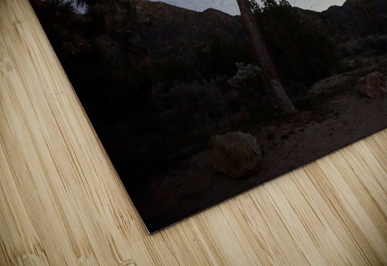 Joshua Tree National Park Michelle Nichols Puzzle