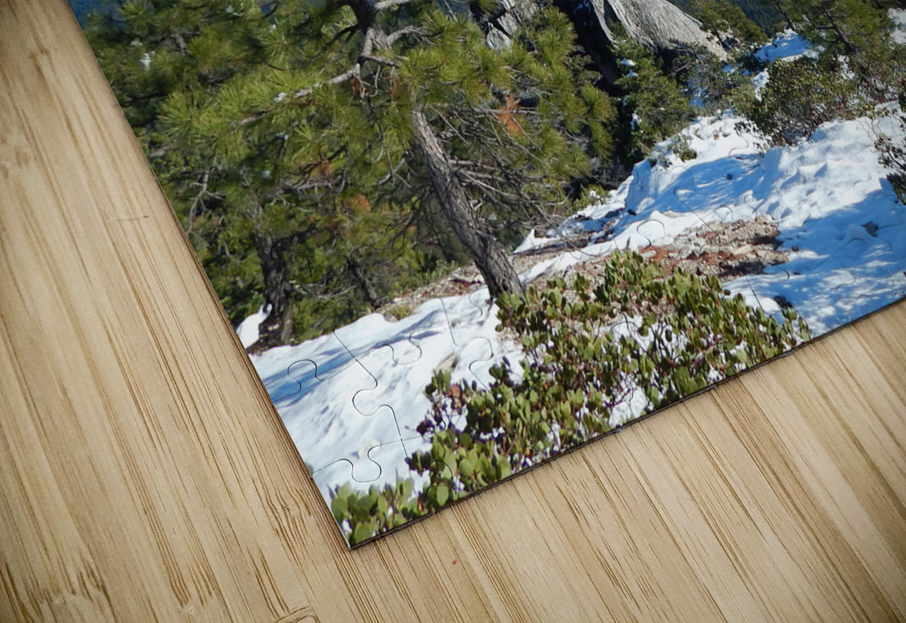 In The Crags Michelle Nichols Puzzle