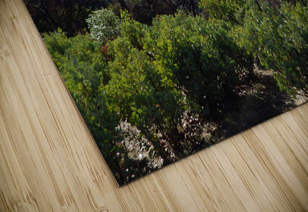 On Mount Chemise Michelle Nichols Puzzle