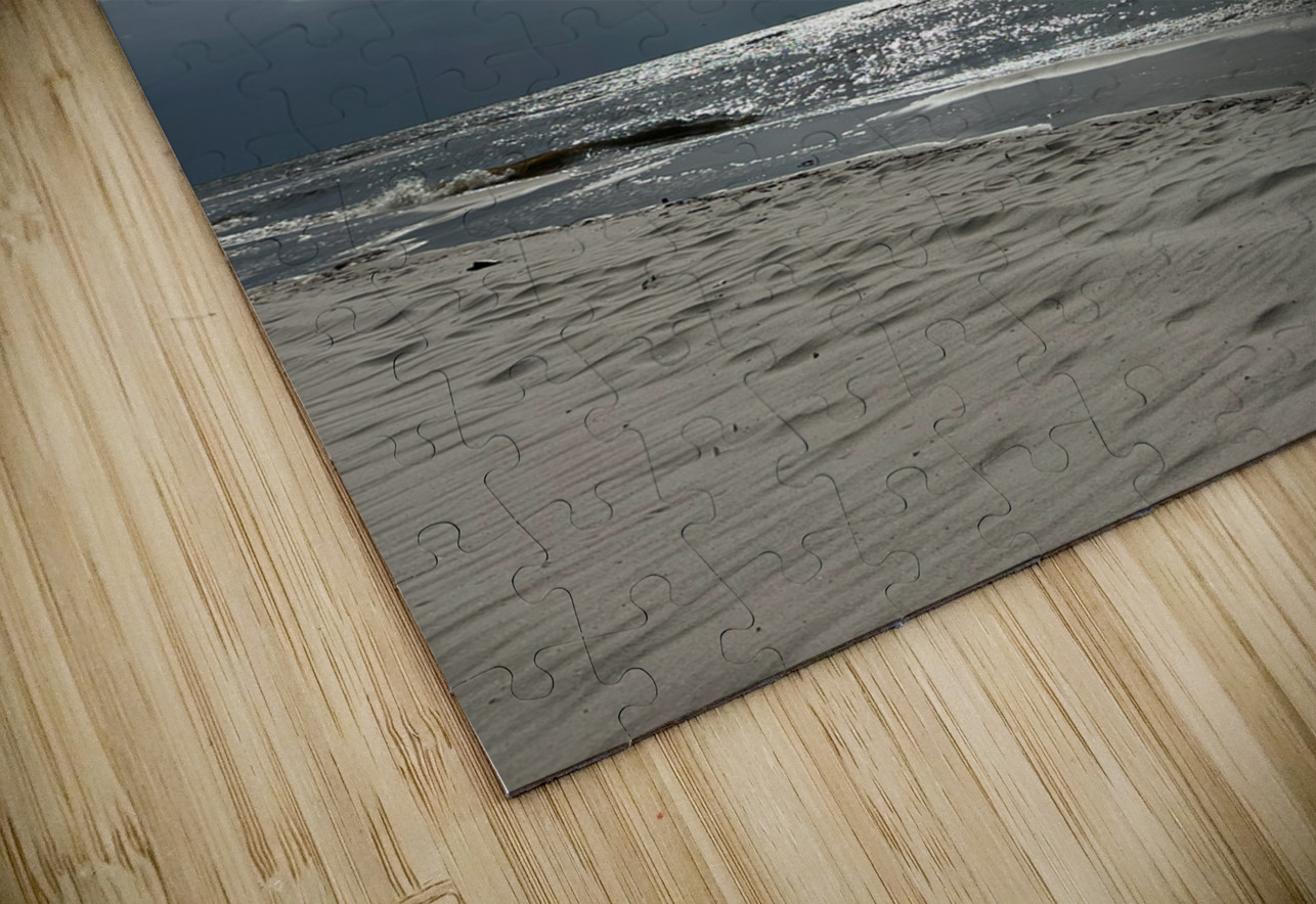 Moonrise Over Long Beach MS Michelle Nichols Puzzle