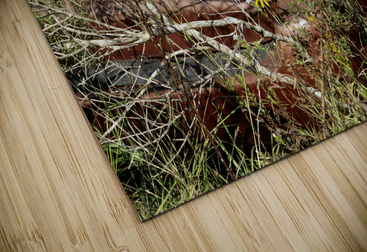 A Beautiful Bouquet Michelle Nichols Puzzle