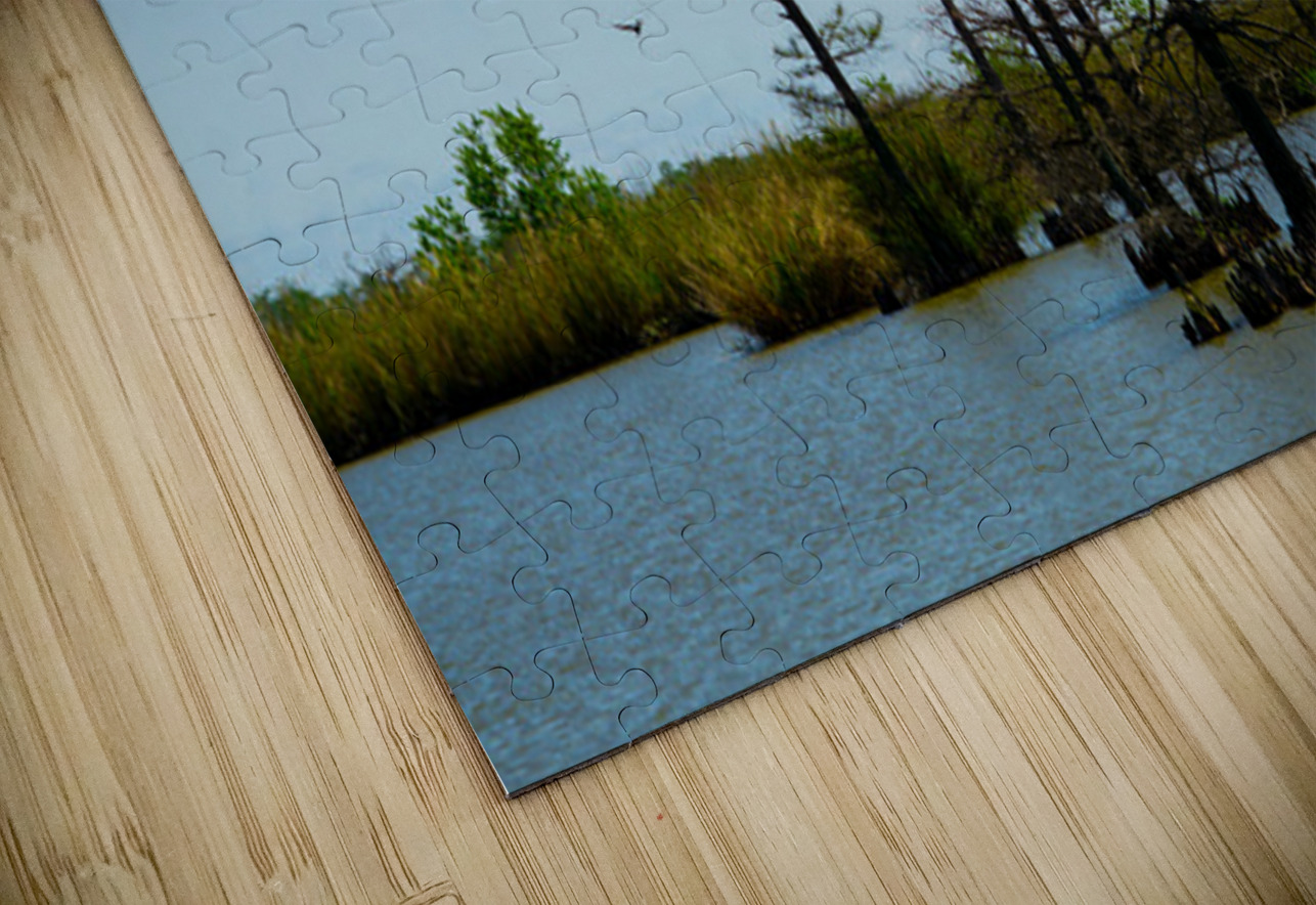 Venice LA Michelle Nichols Puzzle