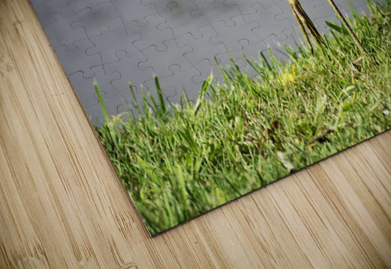 Heron s Little Snack Michelle Nichols Puzzle