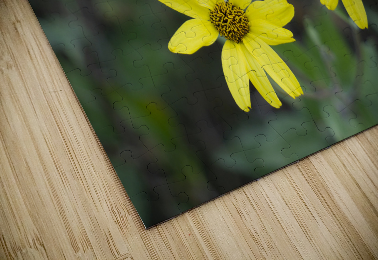 3 Yellow Flowers Michelle Nichols Puzzle