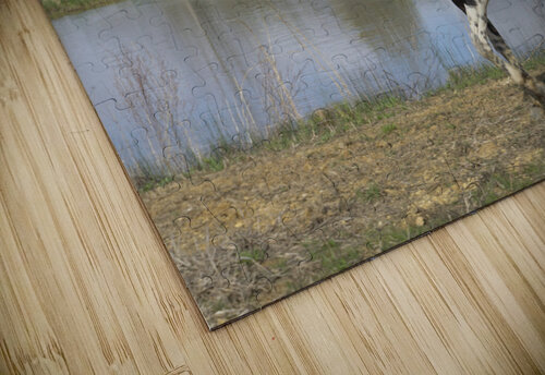 Horse Michelle Nichols puzzle