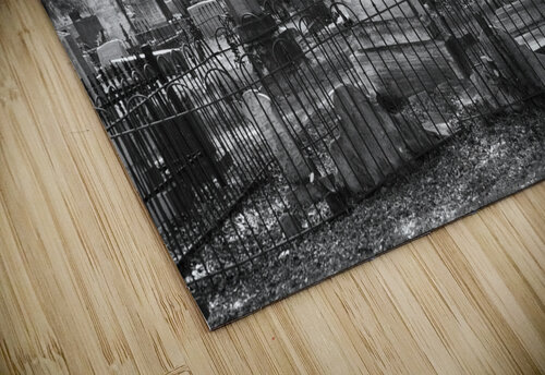 BW Pass Cemetary Michelle Nichols puzzle