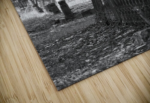 Cemetary BW Pass Chris Michelle Nichols puzzle