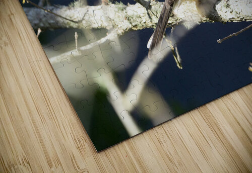 Mockingbird Michelle Nichols puzzle