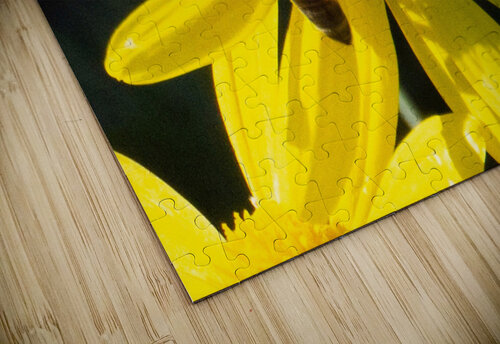 Bee The Flower Michelle Nichols puzzle