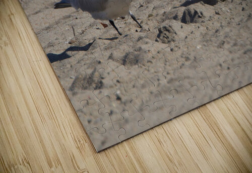 Seagull Couple Michelle Nichols puzzle