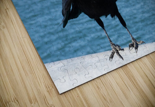 Crow at the Beach 1717431764.8933 Michelle Nichols puzzle