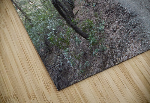 Mountain Trail Michelle Nichols puzzle