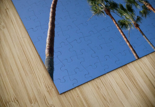 Palm Trees Michelle Nichols puzzle