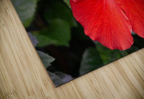 Red Hibiscus Michelle Nichols puzzle