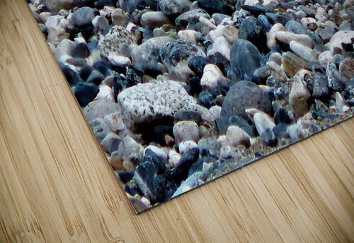 River Rocks Michelle Nichols puzzle