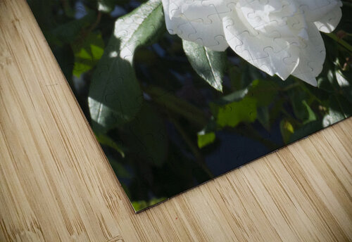 White Cam Michelle Nichols puzzle