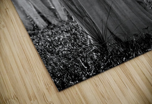 Tears of Stone Michelle Nichols puzzle