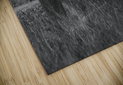 Forgotten Michelle Nichols puzzle