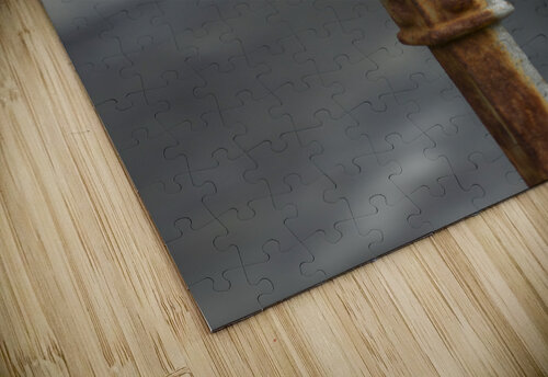 Azul the Dragonfly Michelle Nichols puzzle