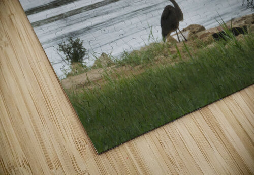 Bayou LaCroix Michelle Nichols puzzle