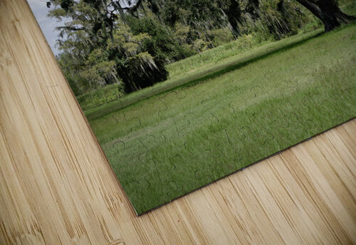 Big Old Tree Michelle Nichols puzzle