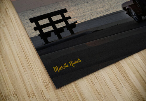 Thelma  Chris Michelle Nichols puzzle