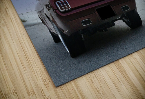 Thelma 2.1 Michelle Nichols puzzle