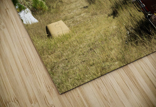 A Walk In The Park Michelle Nichols puzzle